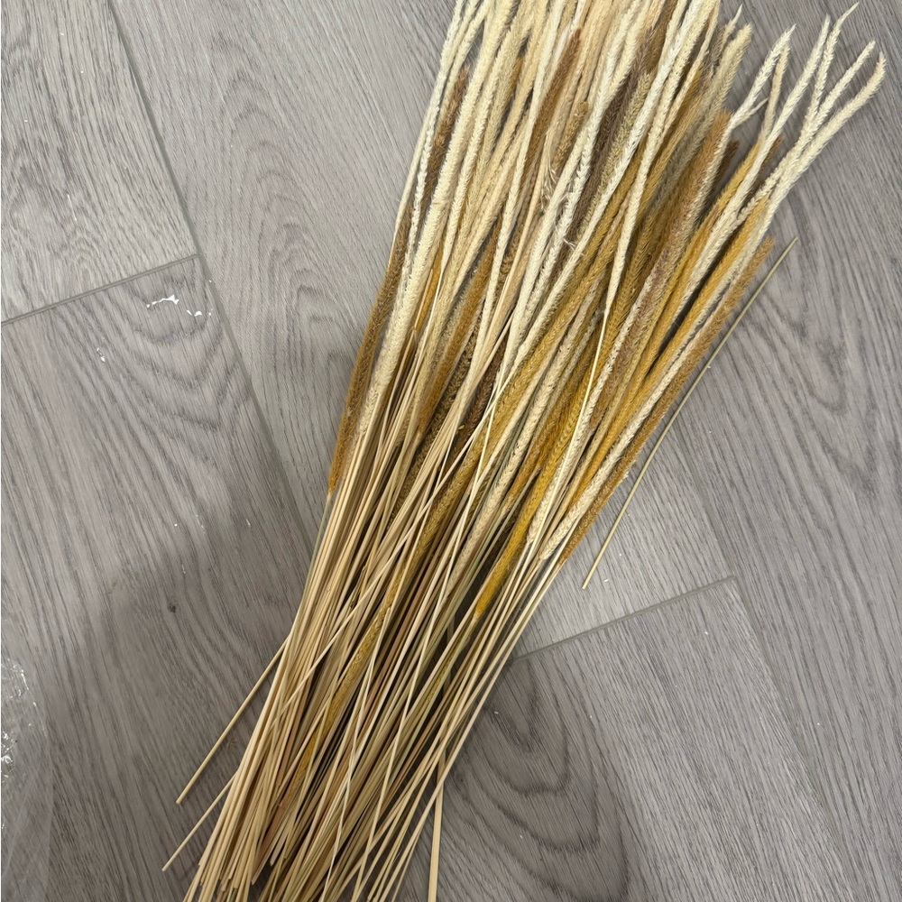60 Dried Reed Grass - Picture 2 of 3